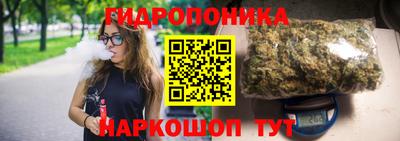 гидропоника Пенза