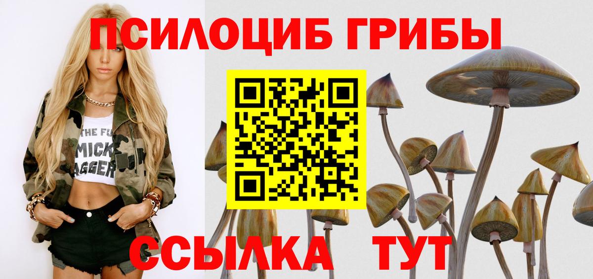 Галлюциногенные грибы мухоморы Советск